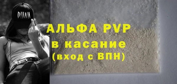 ECSTASY Алзамай