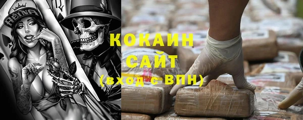 сатива Осинники